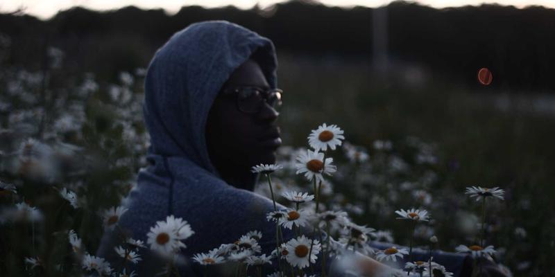 世界顶级奶酪产地巡礼：从帕尔马、切达到曼切戈的食谱灵感与木兰奶酪的融合之道