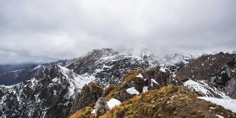 世界顶级蓝纹奶酪巡礼：从洛克福到斯蒂尔顿的风味之旅 | 木兰奶酪美食分享