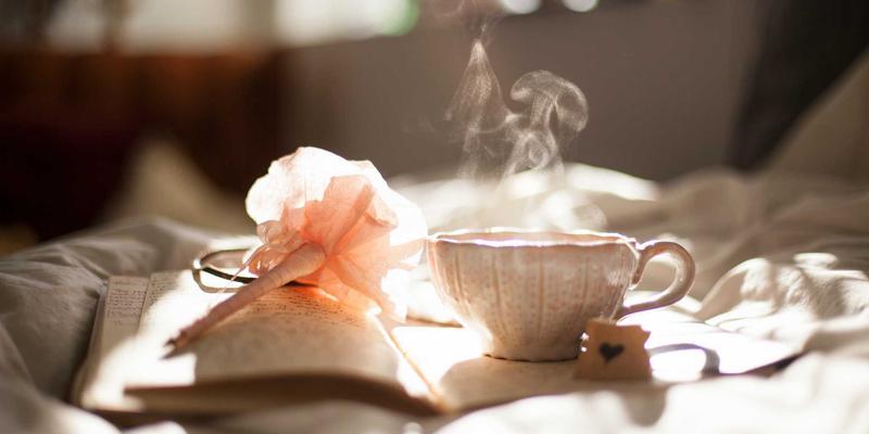 从厨房到餐桌：揭秘素食芝士的烹饪革命与创新食谱