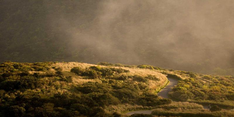 从木兰奶酪到创意餐桌:探索芝士在烹饪中的多元前景
