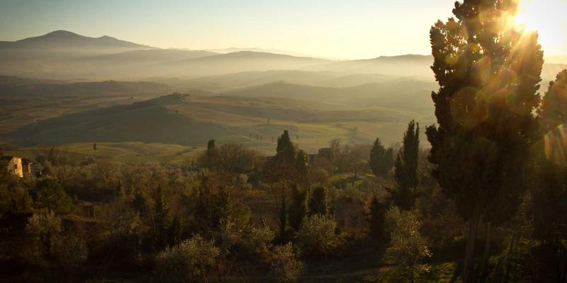从芝士到奶酪：解锁烹饪中的奶香魔法