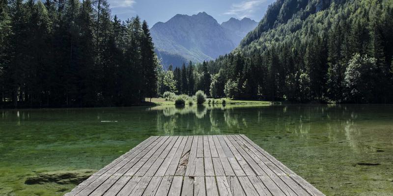 从芝士到餐桌：探索奶酪的千年演变与现代烹饪食谱
