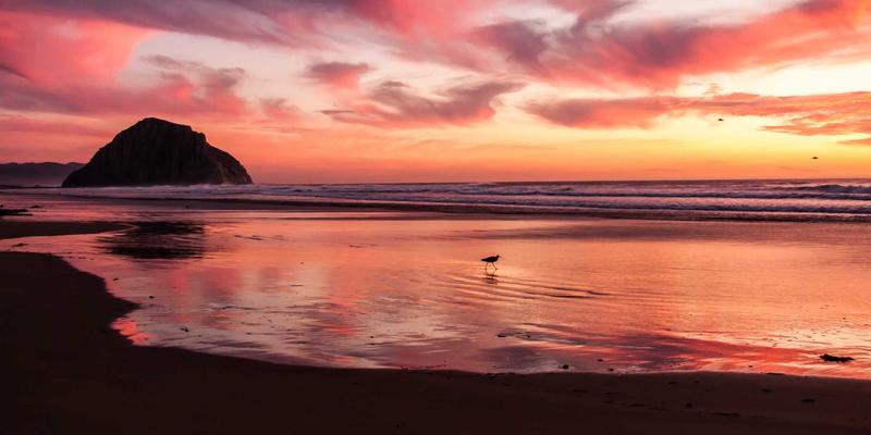 低碳水饮食中的奶酪选择：高蛋白、低乳糖品种的深度解析与实用食谱