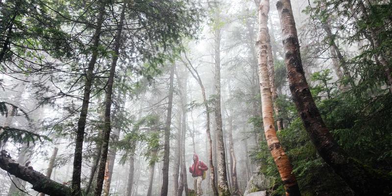 奶酪17：解锁烹饪新维度，从经典食谱到创意搭配