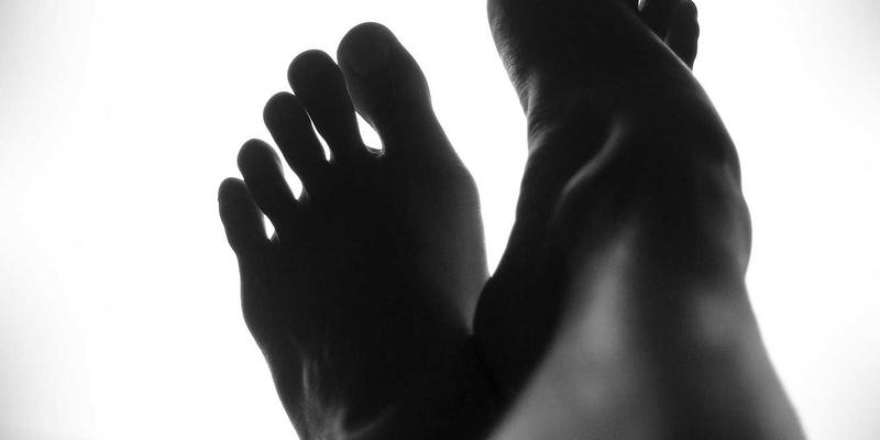 奶酪22:从经典食谱到创新产品,探索奶酪的无限可能