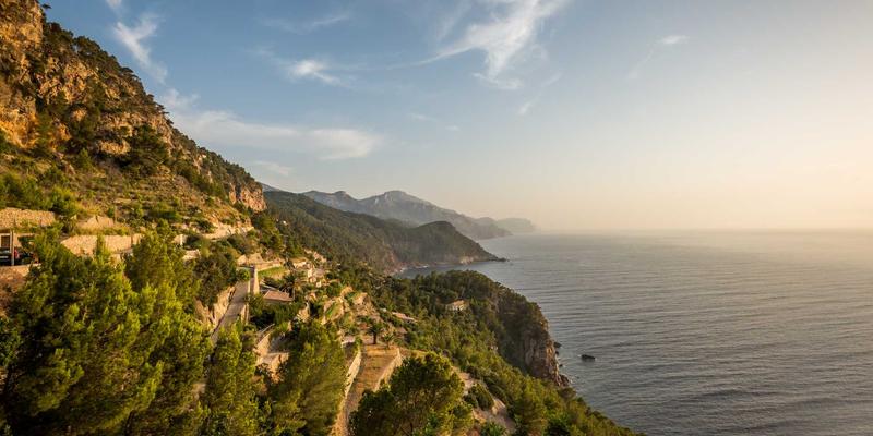 奶酪64：从烹饪密码到餐桌艺术的味觉革命