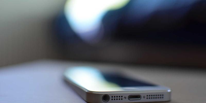 奶酪与肠道健康：解锁发酵美食中的益生菌力量与美味食谱