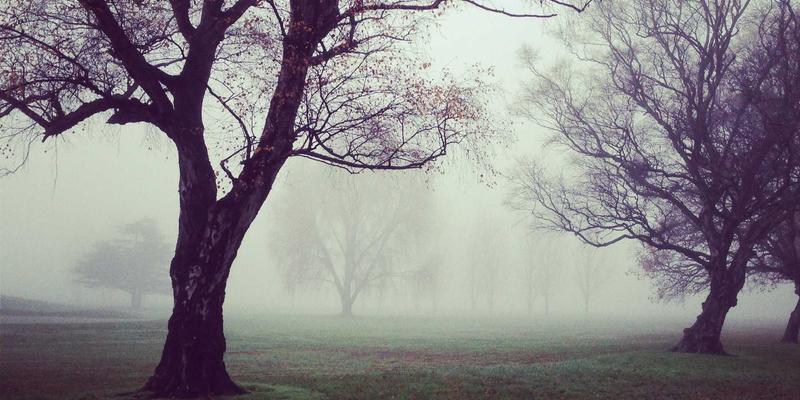 奶酪产品深度解析：工业量产与手工农场的成本、风味差异及烹饪食谱应用
