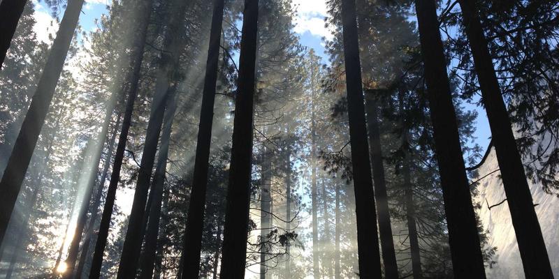 奶酪完全入门指南:从芝士分类到经典食谱