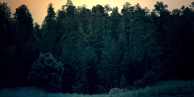 奶酪烹饪全攻略：从认识产品到厨房妙用