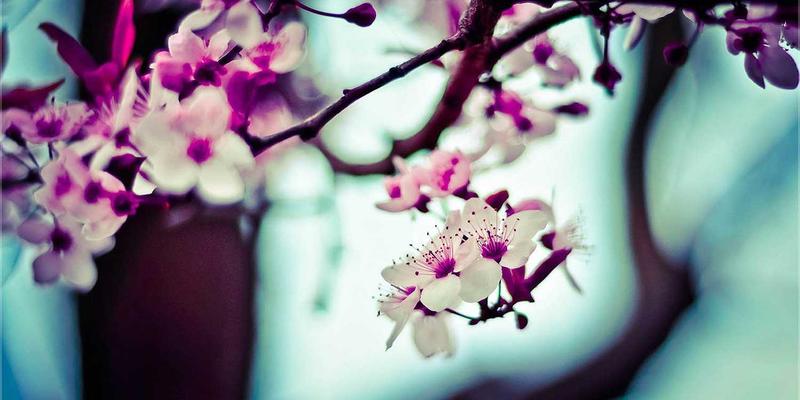 奶酪边角料零浪费料理：3种创意食谱，将奶酪皮与碎屑变身高汤、酱汁与美味小吃