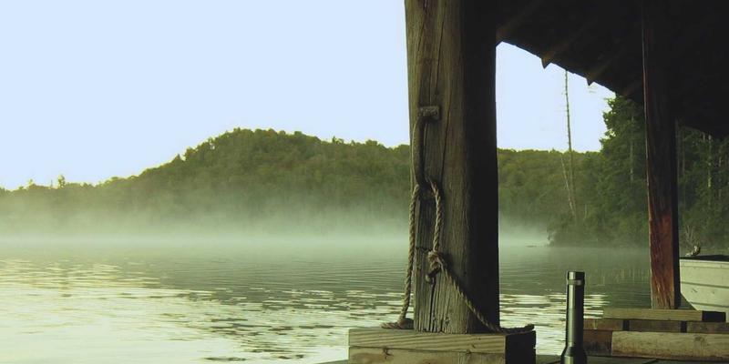 山羊奶酪与绵羊奶酪的风味差异解析：从牧场到餐桌的生态影响与美食分享
