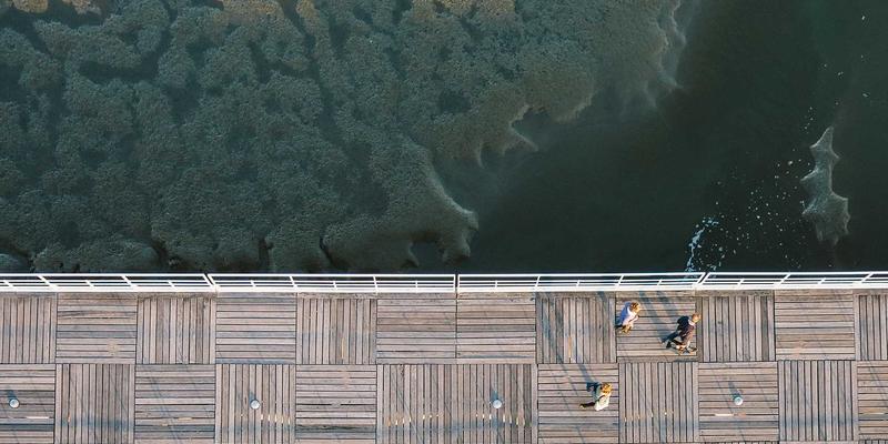 木兰奶酪:穿越时光的美食艺术,唤醒味蕾的醇厚记忆