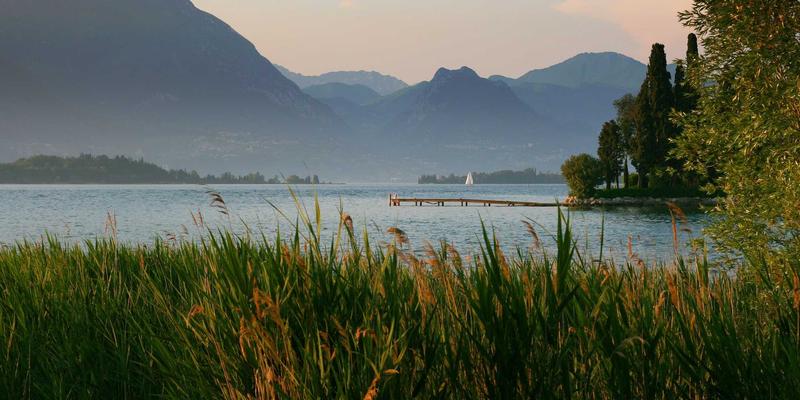 欧洲传统芝士产区巡礼：法意瑞的烹饪瑰宝与美食传承