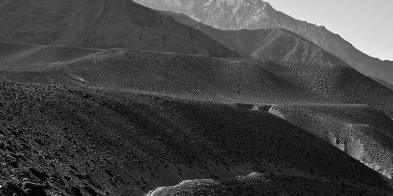 美食分享｜木兰奶酪边角料零浪费料理：将剩余芝士变身为惊艳酱汁、烘焙与小吃