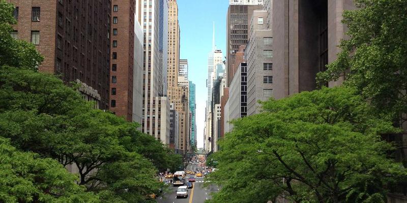 解锁法式烘焙新境界：奶酪从咸味可颂到奢华蛋糕的进阶食谱与烹饪技巧